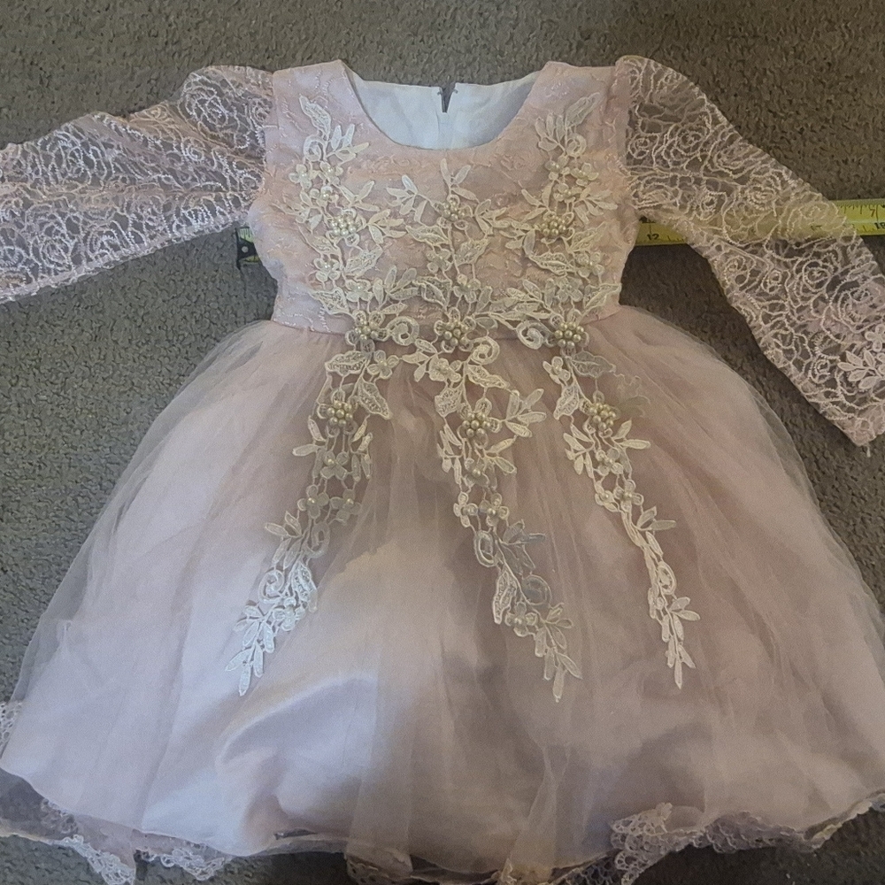 Source Unknown Pink Lace Formal Kids Dress